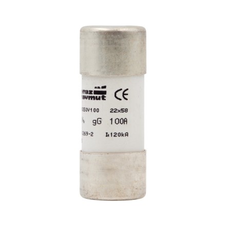 Ferraz Shawmut / Mersen FR22GG50V100 Предохранитель 22x58 100A 500V