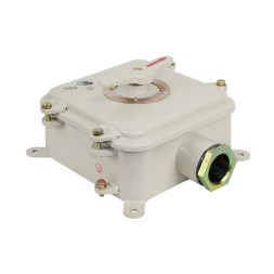 Пакетный переключатель ПВ2-100 ОМ1 56Б TS 00212883-106:2018